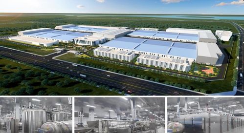 濟(jì)寧市2023年下半年綠色低碳高質(zhì)量發(fā)展現(xiàn)場(chǎng)觀摩會(huì) 無(wú)窮食品泗水生產(chǎn)基地建設(shè)項(xiàng)目
